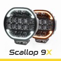 Scallop-1.jpg