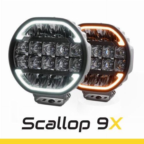 Scallop-1.jpg