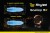 Scallop-13.jpg