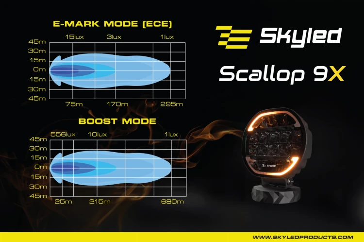 Scallop-13.jpg