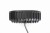 Scallop-12.jpg