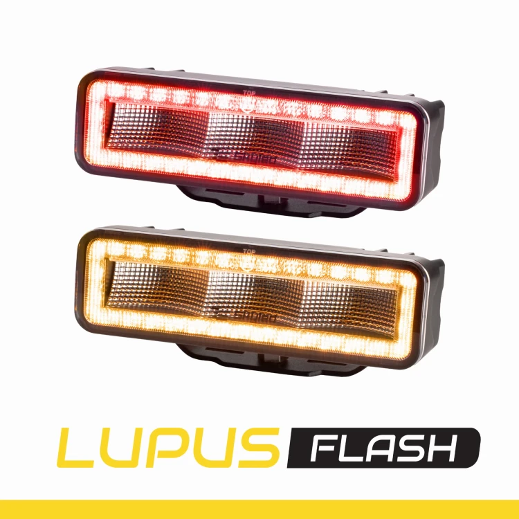 lupus-1.jpg