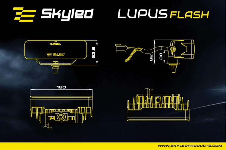 lupus-10.jpg