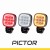 pictor-1.jpg