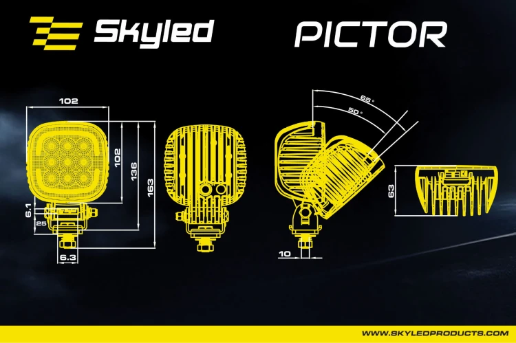pictor-15.jpg