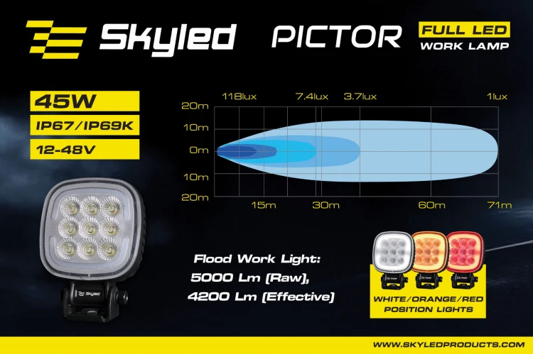 pictor-14.jpg