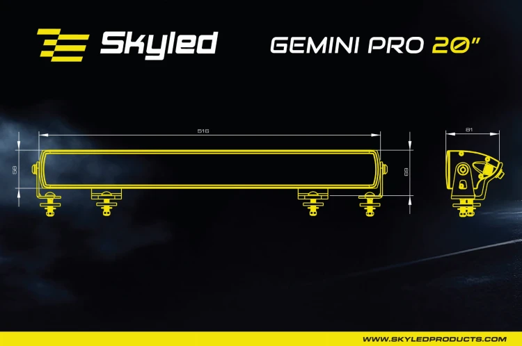 gemini_20_pro_size.jpg