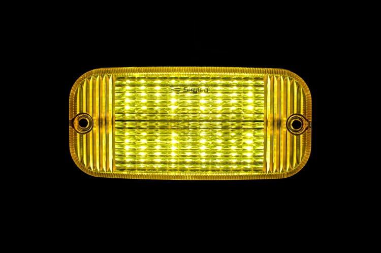 13SL70131Y-LED_11.JPG