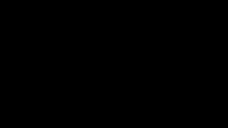 13SL10971C_GIF.gif