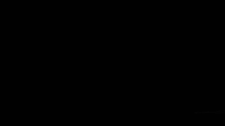 13SL10971A_GIF.gif