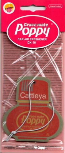 ec2ccd487a05e29ce8a73b4678fc4afd