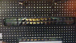 130.212LBDT.gif