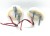 bd9444ce75605ce4c597f4e2a62b9b06
